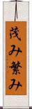 茂み Scroll