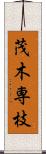 茂木専枝 Scroll