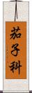茄子科 Scroll