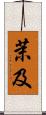 茉及 Scroll