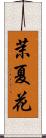 茉夏花 Scroll