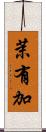 茉有加 Scroll