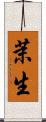 茉生 Scroll