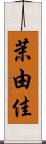茉由佳 Scroll