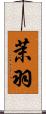 茉羽 Scroll