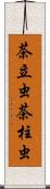 茶立虫 Scroll