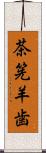 茶筅羊歯 Scroll