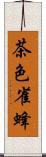茶色雀蜂 Scroll