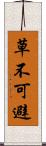 草不可避 Scroll