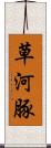 草河豚 Scroll