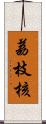 荔枝核 Scroll