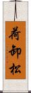 荷卸松 Scroll