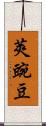 莢豌豆 Scroll