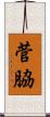 菅脇 Scroll