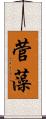 菅藻 Scroll