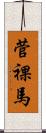 菅裸馬 Scroll