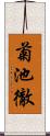 菊池徹 Scroll