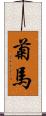 菊馬 Scroll