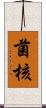 菌核 Scroll