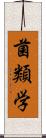 菌類学 Scroll