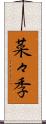 菜々季 Scroll