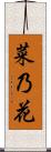 菜乃花 Scroll
