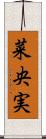 菜央実 Scroll