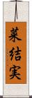 菜結実 Scroll