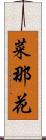 菜那花 Scroll