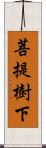 菩提樹下 Scroll