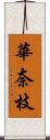 華奈枝 Scroll