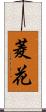 菱花 Scroll