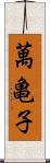 萬亀子 Scroll