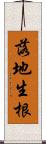 落地生根 Scroll