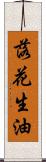 落花生油 Scroll