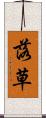 落草 Scroll