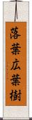 落葉広葉樹 Scroll
