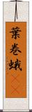 葉巻蛾(rK) Scroll