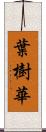 葉樹華 Scroll