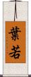 葉若 Scroll