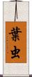 葉虫 Scroll