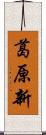 葛原新 Scroll