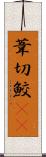 葦切鮫(rK) Scroll