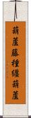 葫蘆藤種纒葫蘆 Scroll