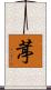 葶 Scroll