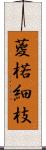 葼 Scroll