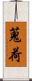 蒐荷 Scroll