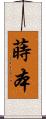 蒔本 Scroll