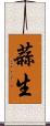 蒜生 Scroll
