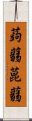 蒟蒻 Scroll